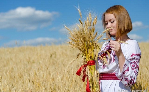 無恥！BBC證實：俄軍用超低價強迫烏農民賣作物 不願出售就直接搶