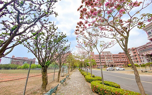 台灣6間大學接連倒閉   近6萬學生走光  老師陷入失業窘境  