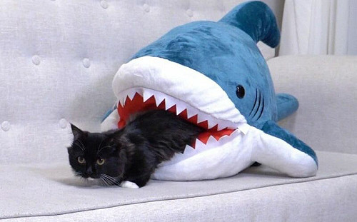 嬤怕金孫被吃掉！拿針救援笑翻眾人