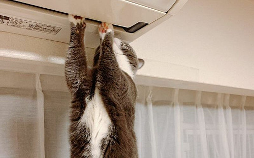 熱到受不了！全台用電量「歷史次高」 差距不到10萬瓩