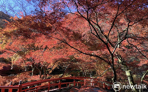 劉黎兒觀點》日本「觀光開國日」入境仍全需簽證 真正開國要等何時？