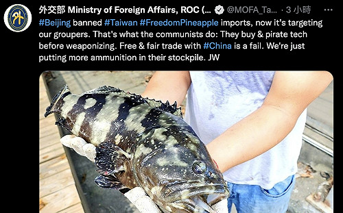 台石斑魚遭封殺 外交部：與中國對等貿易註定失敗 「替他們添軍購經費罷了」