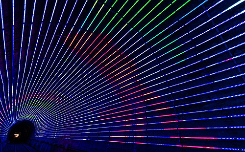 瑰麗仲夏遊新北深澳 浪漫騎行RailBike