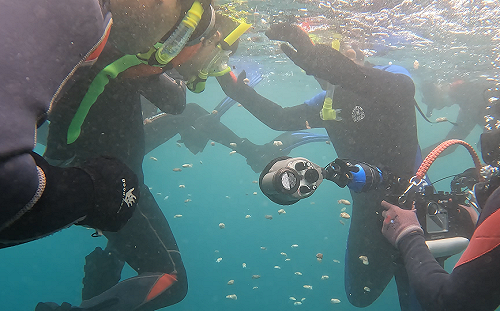 海洋教育向下扎根   新北福連國小畢業生潛水放流花枝九孔鮑幼苗