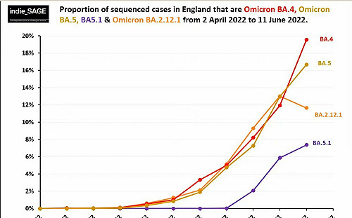 BA.4、BA.5可能已進來了？林氏璧揭關鍵原因