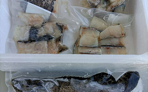 班班缺石斑？石斑魚大缺貨  北市營養午餐今下架菜單