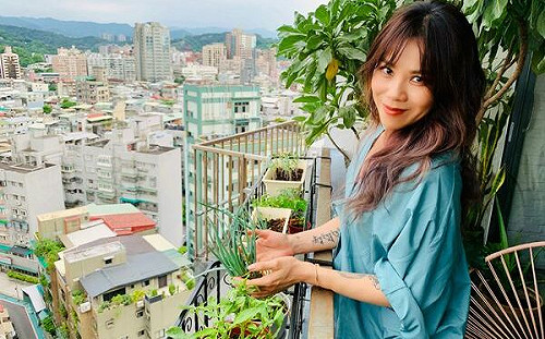 蔡健雅叩關第4座金曲歌后！金智娟、王芷蕾獻「特別貢獻獎」致敬恩師