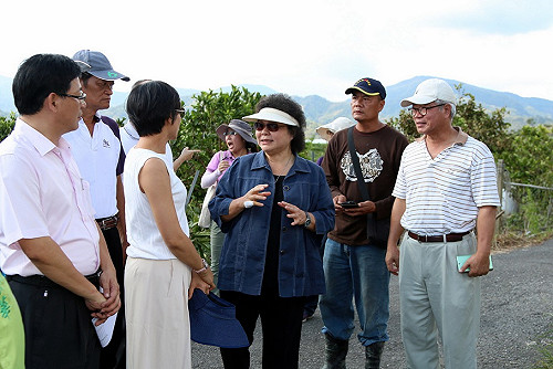 視察六龜農損 陳菊：協助農民復耕