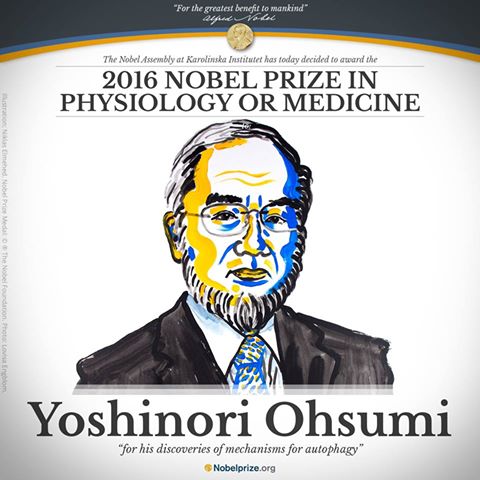 諾貝爾醫學獎  日學者大隅良典獲獎