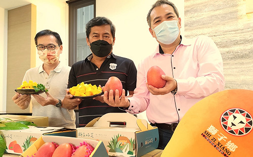 原鄉部落跨域扶植芒果產業升級刻不容緩 地方籲中央支持