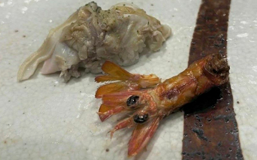 韓國人吃壽司被日本店員欺負 不但菜色變差 有死蟲子也沒立即清理