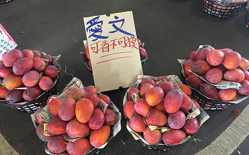 台灣芒果又確診？香港稱檢出新冠銷毀200公斤 陳吉仲：匪夷所思