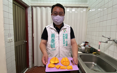 陳麗娜突襲登記參選市議員 綠新人黃彥毓：黨內初選玩假的！