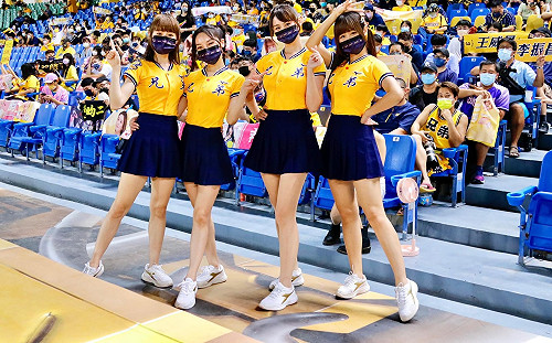 警紀敗壞！噁男警用警政電腦私查「中信兄弟啦啦隊」個資 下場出爐