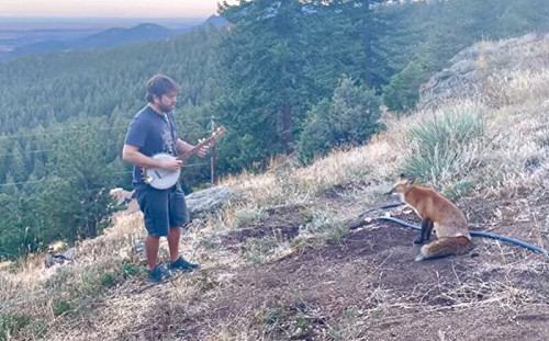 安可啦！他彈五弦琴竟吸引狐狸聽眾