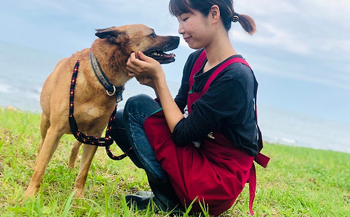 新北動保處提升收容品質  淡水動物之家推毛寶貝健康提升專案