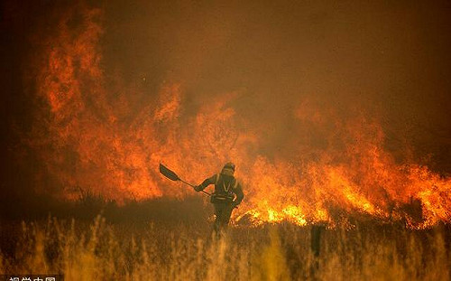 攝氏44度熱浪來襲! 歐洲多國因高溫引發野火 西班牙測到最高溫