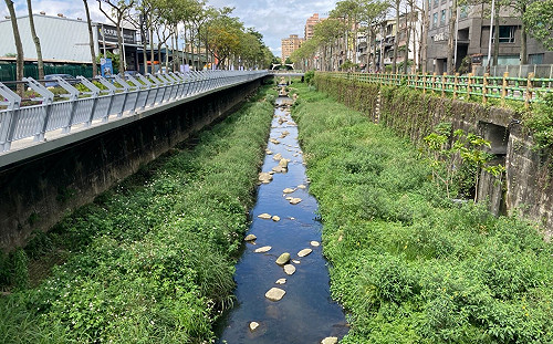 手繪童趣河川生態地圖 新北中和藤寮坑溝邀您來尋訪