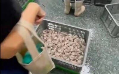 丟丟妹販售問題蝦仁來自高雄 衛生局最高裁罰鍰業者300萬元