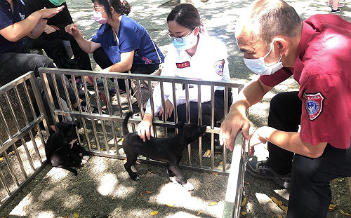 火神誕辰  新北動保處與消防局攜手助毛寶貝認養