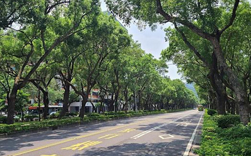 謝金河給陳時中上的第一堂財經課！籲努力種樹提高森林覆蓋率