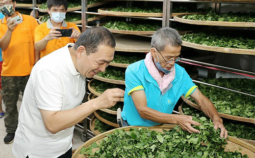 雙北製茶技術競賽 馬拉松式不眠不休展現真功夫