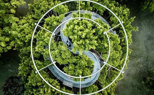 駁二大義公園「大樹宇宙」  360度環景作品新體驗