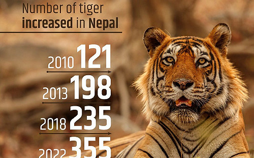 瀕危物種絕處逢生！「這國」現存老虎數量為過去3倍