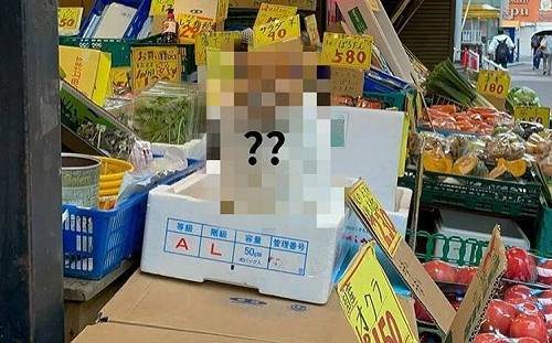 攬客靠露臉？蔬果店經理竟是「牠」
