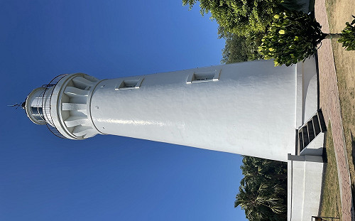 夕陽景點「白沙岬燈塔」暫停開放！航港局：進行樹木褐根病防治