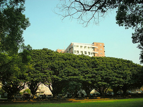 中原大學：以基督教信仰立校 反同性婚姻