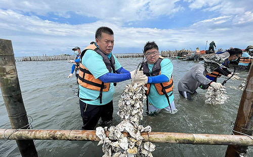 搶救外傘頂洲 蔡易餘與東石鄉親一起守護國土