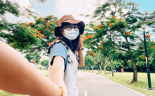 新北板橋河濱遲來的鮮紅景緻饗宴 邂逅鳳凰木紅傘美景