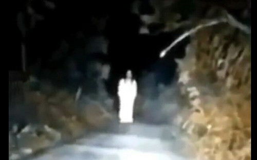 (影) 鬼月要幹嘛? 海南島鄉間白衣女子深夜扮鬼 司機嚇壞急報警