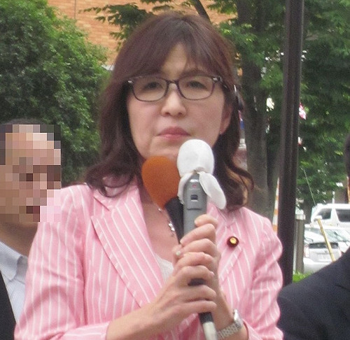 日否認發射干擾彈 著手分析中國意圖