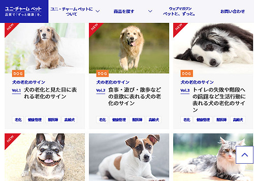 日本1企業推寵物喪假1天  1600員工同享