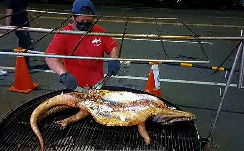 嘉義店家中秋烤鱷魚網友熱議 口感像雞肉Q彈