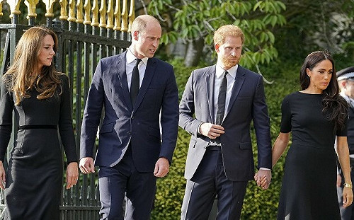 哈利王子受訪感性發言：我想要回父親和哥哥