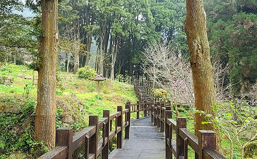 假日一同來解憂！阿里山奮起湖特色調酒9/18開張