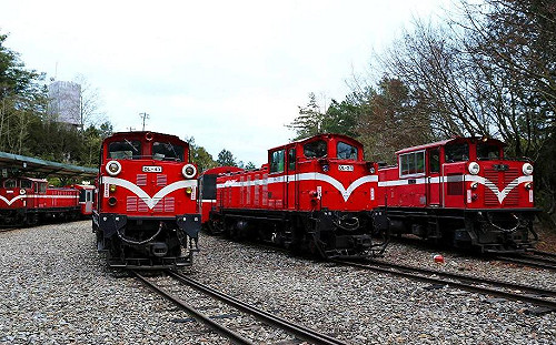 尼莎逼停駛 阿里山森鐵今起停3日