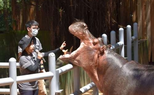 園區暢行無阻！竹市動物園認養卡享「一年免費入園＋多項卡友活動」
