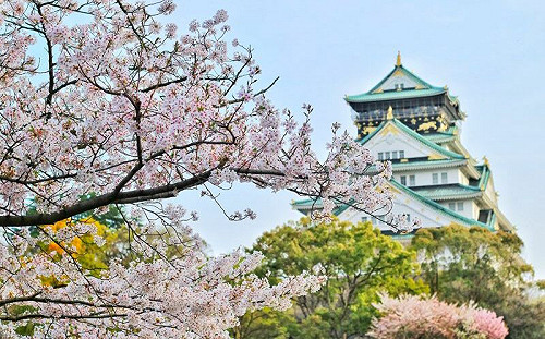 衝日本前先看！他揭當地疫後6變化