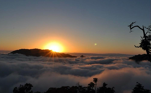 秋天登山去！遊國家森林遊樂區LINE Pay假日購票享6%回饋