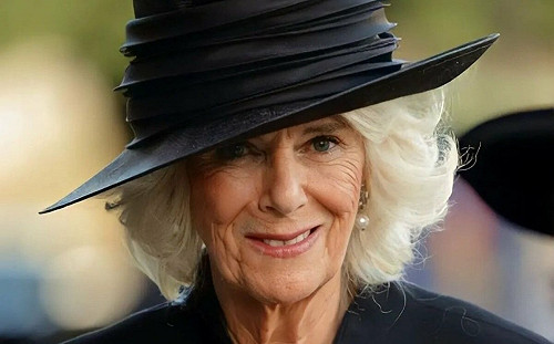 「仕女」工作走入歷史！新上任王后出手廢百年傳統 卡蜜拉：我只需兩位秘書