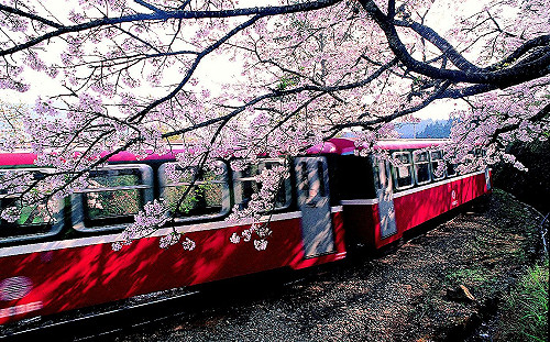 春遊補助不分年齡每人500元　交通部：尚未定案