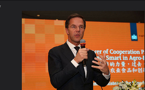 荷蘭國會大選登場 預料總理呂特可順利連任