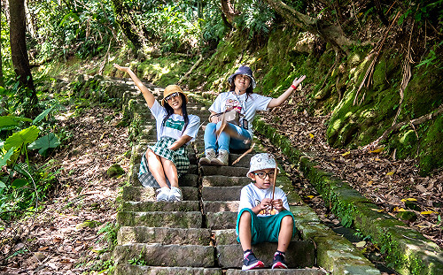 新北三貂嶺石籠護岸、筆筒樹獨特美景 好天氣追起來