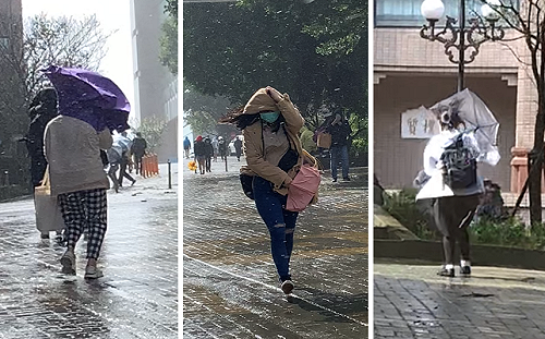 (影) 文化大學暴雨加強陣風卻未停課 學生痛批拿命當玩笑
