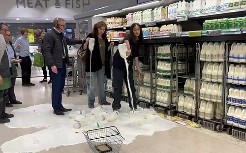 環團人士闖超市「倒光牛奶」反畜牧 民眾批 : 浪費食物的失敗者