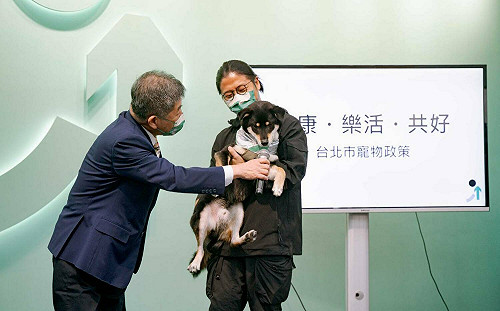 承攬高雄文化局標案 陳時中兒子：若不實詆毀 必追究法律責任 